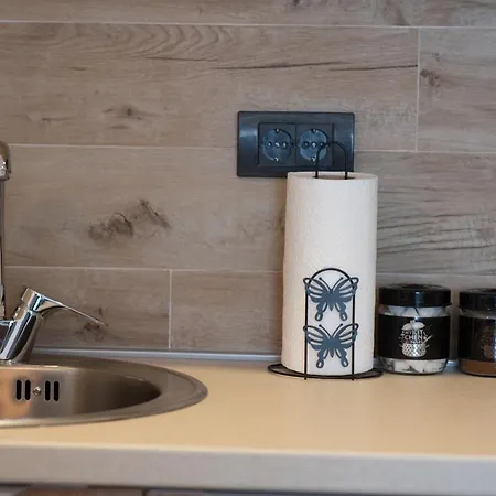 Larisa コパオニク