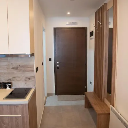 アパート Larisa コパオニク