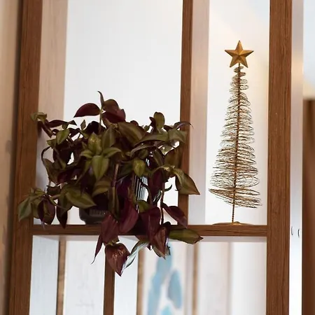 アパート Larisa *