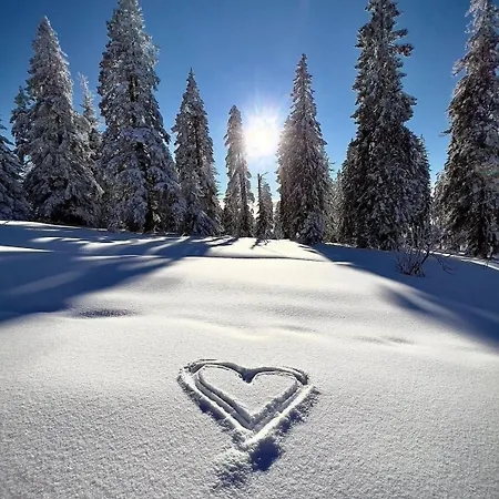 アパート Larisa *