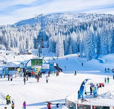 Larisa アパート *